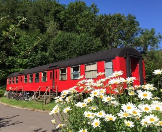 Hostel Gjerrild Gaestehus Djursland Grenå Zewnętrze zdjęcie